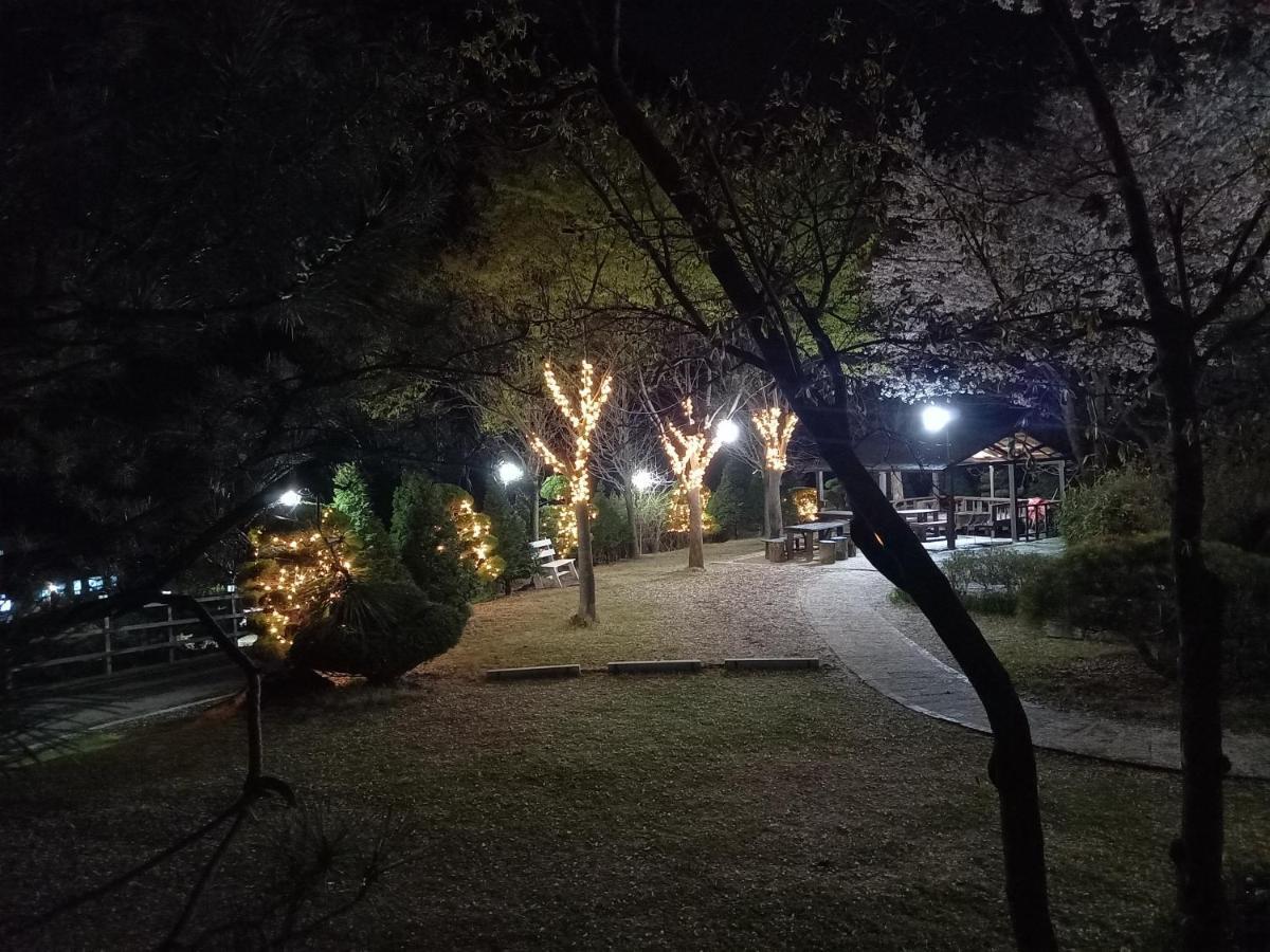 Chamjoeun Pension Chech'ŏn 外观 照片