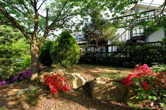 Chamjoeun Pension Chech'ŏn 外观 照片